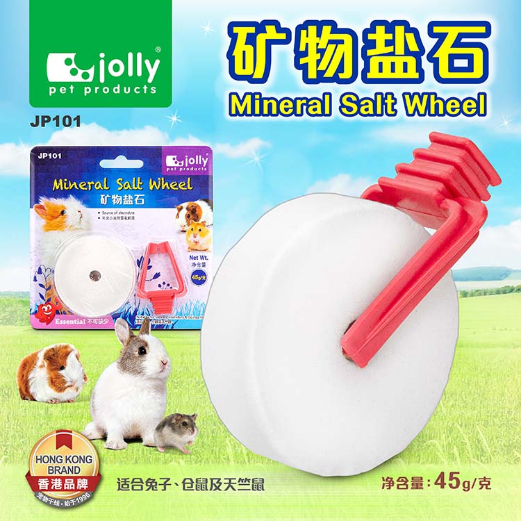 Hamster salt hot sale wheel